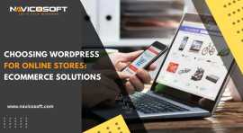 Choosing WordPress for Online Stores: Ecommerce So, New City
