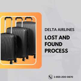 Reclaim Your Item Today: Delta Lost Item