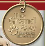 Dog Daycare Center Palm Desert | Pet Boarding Palm, Palm Desert