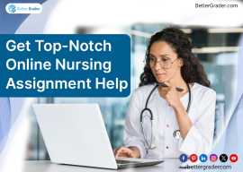 Get Top-Notch Online Nursing Assignment Help, San Diego