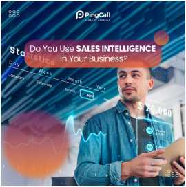 Ping Call Strategies In Insurance Business, New City