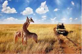 Camping and Big Five Safari in Zanzibar Tanzania