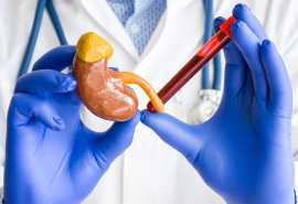 Renew Your Vitality! Comprehensive Kidney Function, Mumbai