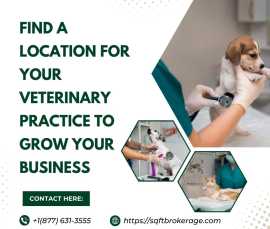 Find A Location For Your Veterinary Practice , New York