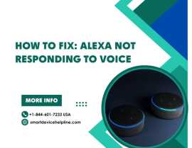How to Fix: Alexa not responding to Voice, Haltom City