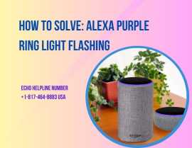 How to Solve: Alexa Purple Ring Light Flashing, Haltom City
