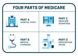 The Guide to Medicare: Parts (A, B, C & D), Spring Hill
