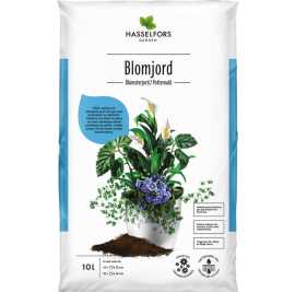 Thujor Blomjord Inomhus Vårdar Tillväxt, ps 491
