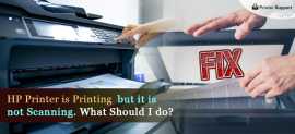 HP Printer is Printing but it is not Scanning, New York