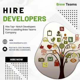 Find The Best Dedicated Developers- Brew Teams, Chandigarh