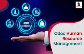 Odoo Human Resource Management | Balj Technology, New York