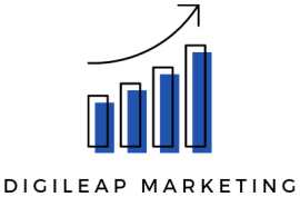 Digileap Services, Delhi