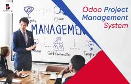 Odoo Project Management System | Balj Technology, New York