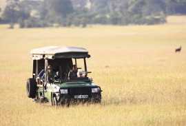 Fantastic Wildlife Safari in Arusha