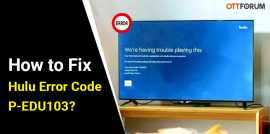 Hulu Error Code P-EDU103, New York
