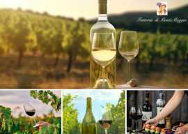 Sip Chianti Wine with Monte Maggio, Radda in Chianti