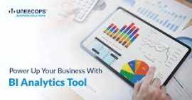 Business Intelligence Development services, Noida