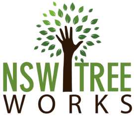 Arborists Sydney, Sydney