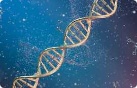 Custom BNA Oligonucleotide Synthesis, New York