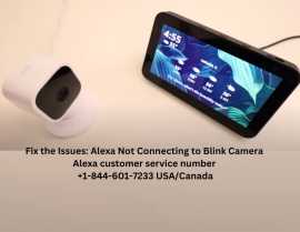 Fix : Alexa Not Connecting to Blink Camera, Haltom City
