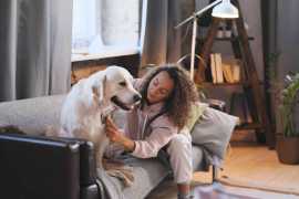 Dog Grooming: The Comprehensive Health Benefits , Chicago