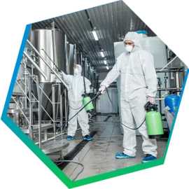 Ensuring Safety and Efficacy: Regulations, Vadodara