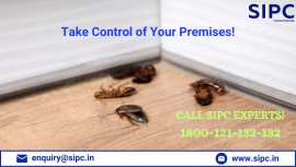 Cockroach Control Services in Cochin, Kochi