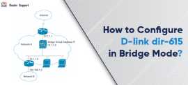 D-link dir-615 in Bridge Mode, New York