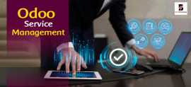 Odoo Service Management, New York