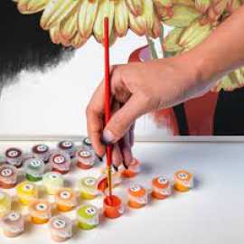 Get Creative: Buy Your Paint by Numbers Kit Today!, Adelaide River