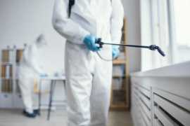 Effective Flies Pest Control Services - Buxgen, Dubai