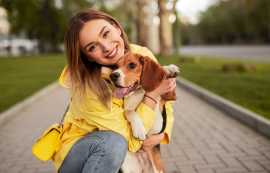 Festive Feasting and Furry Friends: A Pet Groomer, Chicago