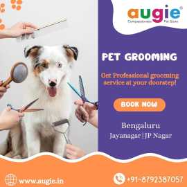 Doorstep Pet Grooming Service In Bangalore, Bengaluru