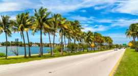 Real Estate Agent | Great Florida Homes, Fort Lauderdale