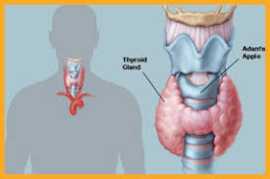 Best Thyroid Doctor in Lucknow - Dr Mayank Somani, Lucknow