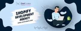 The Best Shopify Payment Gateway Extension Develop, Mississauga