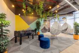 Cynosure Cove: The Center of Chandiga, Mohali