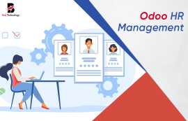 Odoo HR Management - Balj Technology, New York