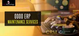 Odoo ERP Maintenance Services, New York