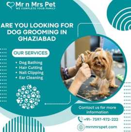 The Best Dog Grooming in Ghaziabad, Ghaziabad