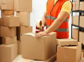 FedEx Gurugram Rosewood City, Gurgaon