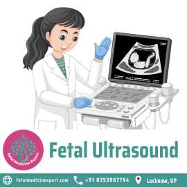 Fetal Ultrasound in Lucknow, Lucknow