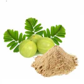 Organic & Conventional Uses Of Amla Extract, Bengaluru