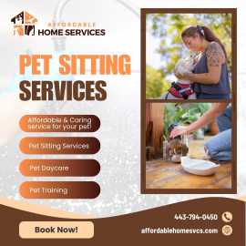 Professional Pet Sitter in Halethorpe, Halethorpe