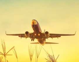 Delta Airlines JFK Terminal, Annaba