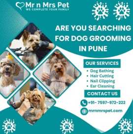 Exclusive Dog Grooming at home in Pune, Pune
