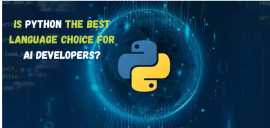 Is Python A Best Language For AI Developers?, Bolton