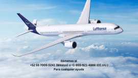 ¿Cómo llamar a Lufthansa desde México?, Arriaga