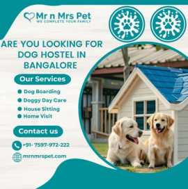 Best Dog Hostel in Bangalore at Affordable Price, Bengaluru