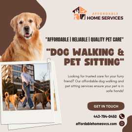 Professional Dog Walkers in Halethorpe, Halethorpe
